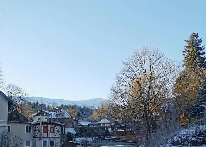 Apartment Goscinne Kamil 3 *